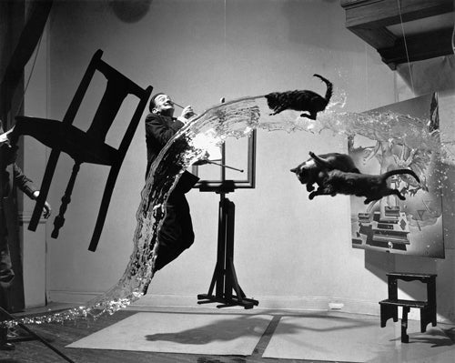 Dali Atomicus, 1948 Unretouched by McMahan Photo Archive Wall Art Décor 8 x 10 Art Print