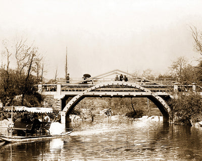 Swan Boat and Bridge, Central Park, 1895 by McMahan Photo Archive Wall Art Décor 8 x 10 Art Print