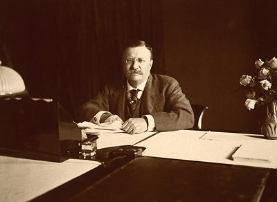 President Theodore Roosevelt Portrait, 1907 by McMahan Photo Archive Wall Art Décor 8 x 10 Art Print