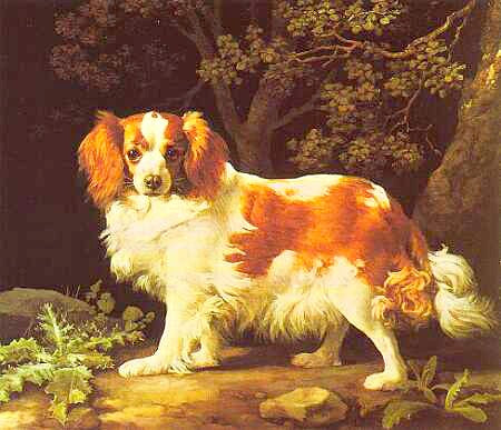 Art Print King Charles Spaniel by George Stubbs - Perfect for Dog Lovers!
