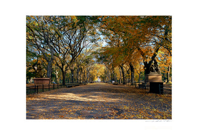 Poet's Walk by Viktor Balkind - Serene Landscape Wall Art Print 13 x 19 inch