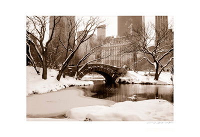 Central Park, Plaza in Winter by Viktor Balkind - Sepia Wall Art Print | Shop Now