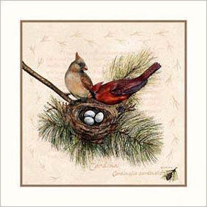 Cardinal by Wendy Wegner - Vibrant Bird Art Print for Home Decor