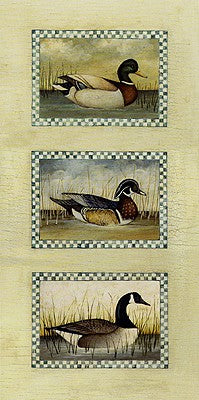 Mallard, Wood Duck & Canada Goose Art Print by David Carter Brown