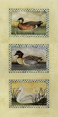 David Carter Brown Waterfowl Art Print - American Wigeon, Green Winged Teal & Snow Goose Wall Decor 20x10