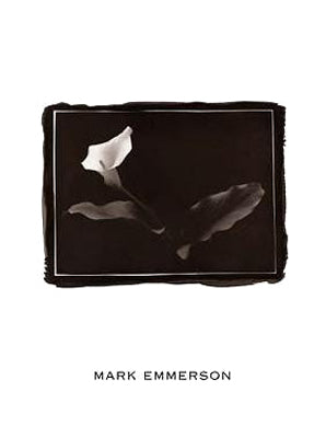 Calla Lily, Bermuda by Mark Emmerson - Fine Art Print