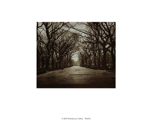 Central Park by Walter Gritsik - Serene Urban Landscape Wall Art Decor
