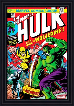 Comic Book Picture Frame – Wall Hanging Modern Black Wood Frame - All Comic Book Sizes  shopmodernmemory.com 