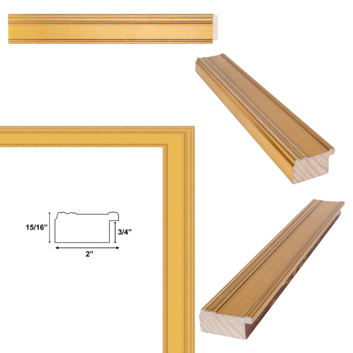 32x48 Frame Contemporary Gold Leaf Flat Picture Frame