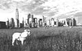English bulldog framed art Black and white NYC skyline Picture Frame Store New Jersey