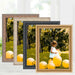 Antique 10x13 Black Picture Frame Traditonal Vintage framing