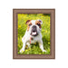 Mocha Mousse Bronze Picture Frame  shopmodernmemory.com 