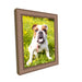 Mocha Mousse Bronze Picture Frame  shopmodernmemory.com 