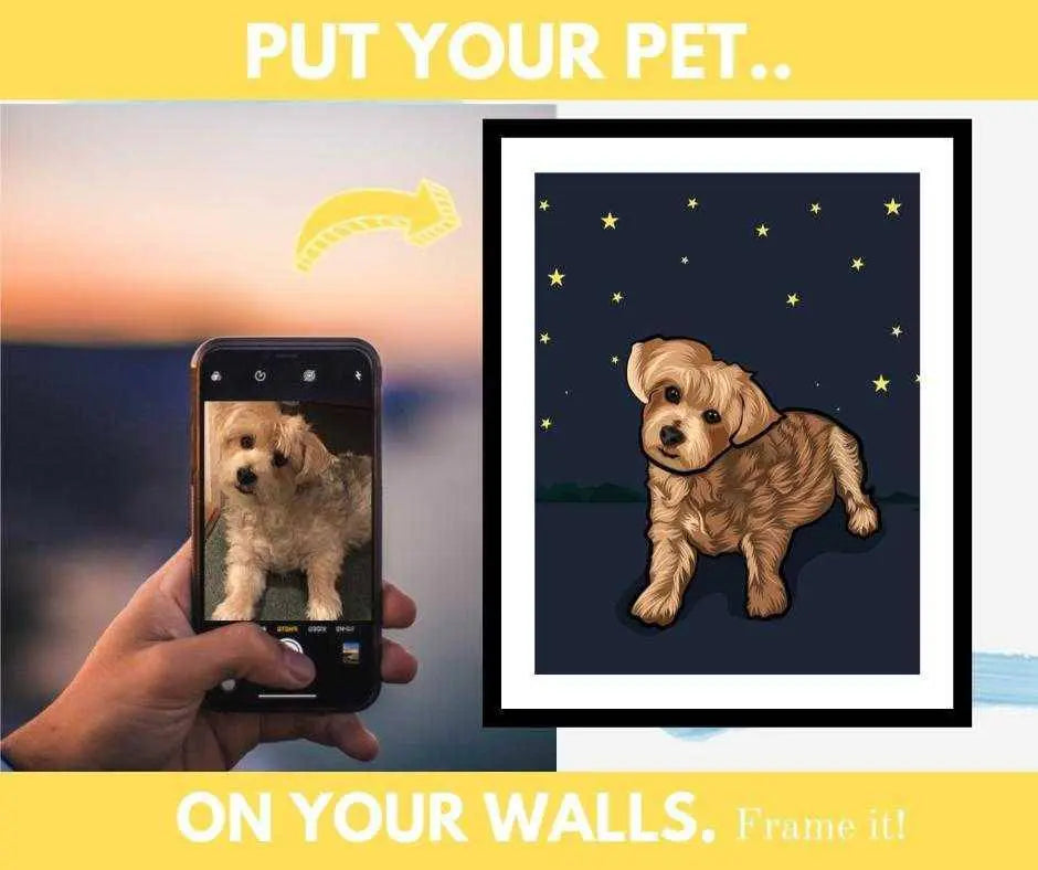Upload Photo & Frame - Picture Printing and Framing