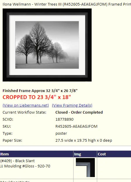 Shannon Clements - frame remake Order #FA6479041 - FramedArt.com  Modern Memory Design 