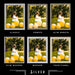 28x38 Silver Picture Frames