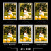 44x44 Silver Picture Frames