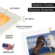 33x37 White Picture Frame For 33 x 37 Poster  Art Photo - New Jersey Frame shop custom framing