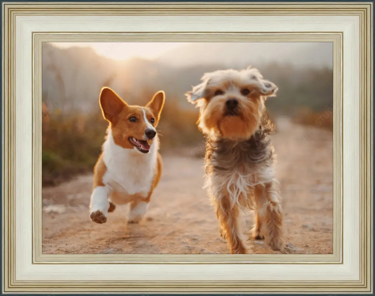 Visit ModernMemoryDesign’s Frame Shop for Your School Picture Day Needs