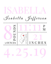 Baby Girl Newborn Nursery custom Birth stat frame print - Modern Memory Design Picture frames - New Jersey Frame shop custom framing
