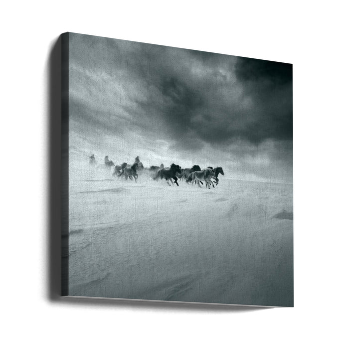 Snowy field by Shu-Guang Yang Square Canvas Print Art for Modern Home Decor. Decorate your office or living room with canvas artwork