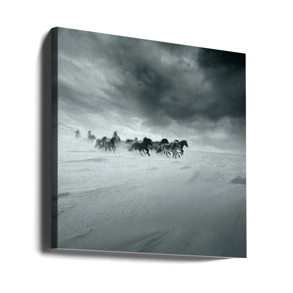Snowy field by Shu-Guang Yang Square Canvas Print Art for Modern Home Decor. Decorate your office or living room with canvas artwork