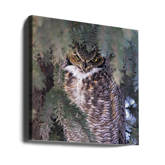 I Am Watching You by Jun Zuo Square Canvas Print Art for Modern Home Decor. Decorate your office or living room with canvas artwork