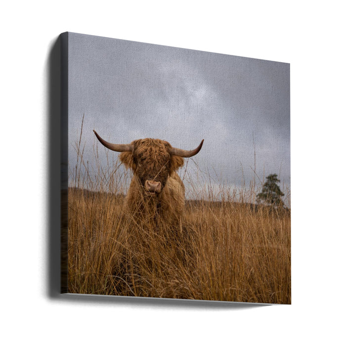 It wasn't me by Gert van den Bosch Square Canvas Print Art for Modern Home Decor. Decorate your office or living room with canvas artwork