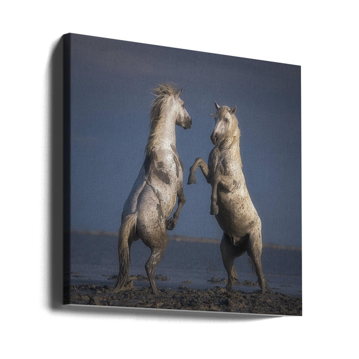 Confrontation by Rostovskiy Anton Square Canvas Print Art for Modern Home Decor. Decorate your office or living room with canvas artwork