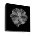 The Flower of tail Square Canvas Art  Andi Halil 