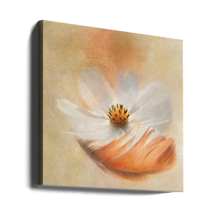 Light as a Feather by Gaille Gray Square Canvas Print Art for Modern Home Decor. Decorate your office or living room with canvas artwork