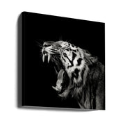 Primal Yawn #4 Square Canvas Art  Christian Meermann 