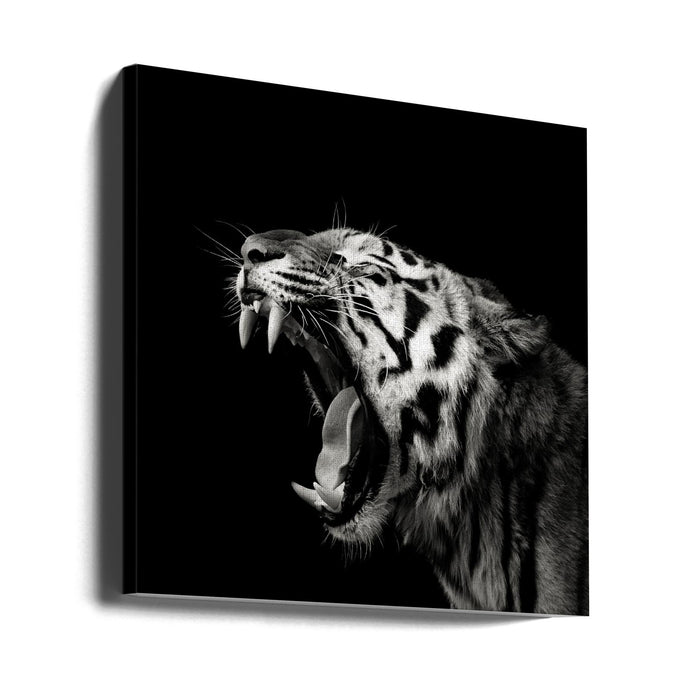 Primal Yawn #4 Square Canvas Art  Christian Meermann 