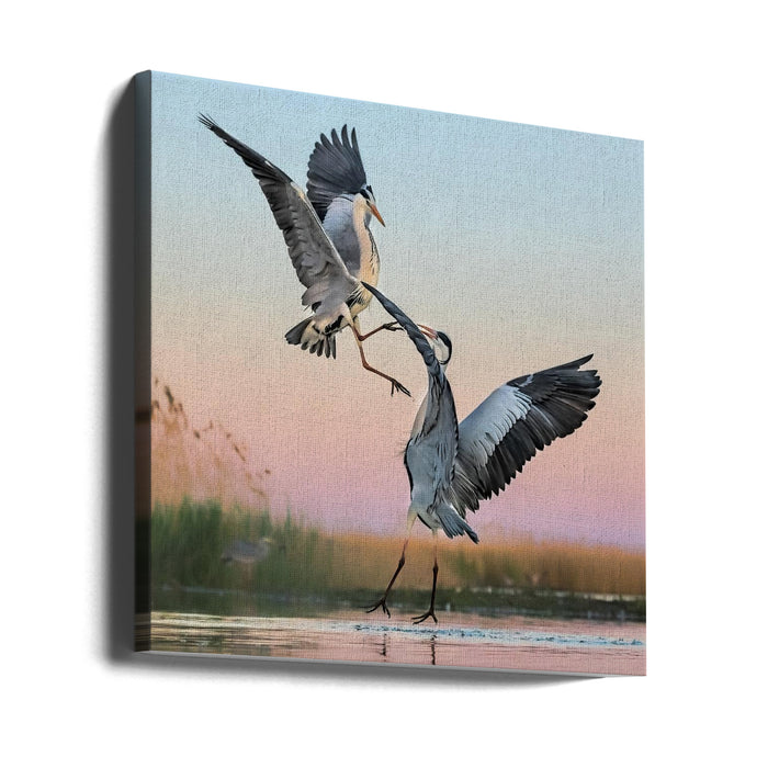 Fighting by Jun Zuo Square Canvas Print Art for Modern Home Decor. Decorate your office or living room with canvas artwork