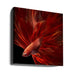 Red Fire Bettafish Square Canvas Art  Antonyus Bunjamin (Abe) 