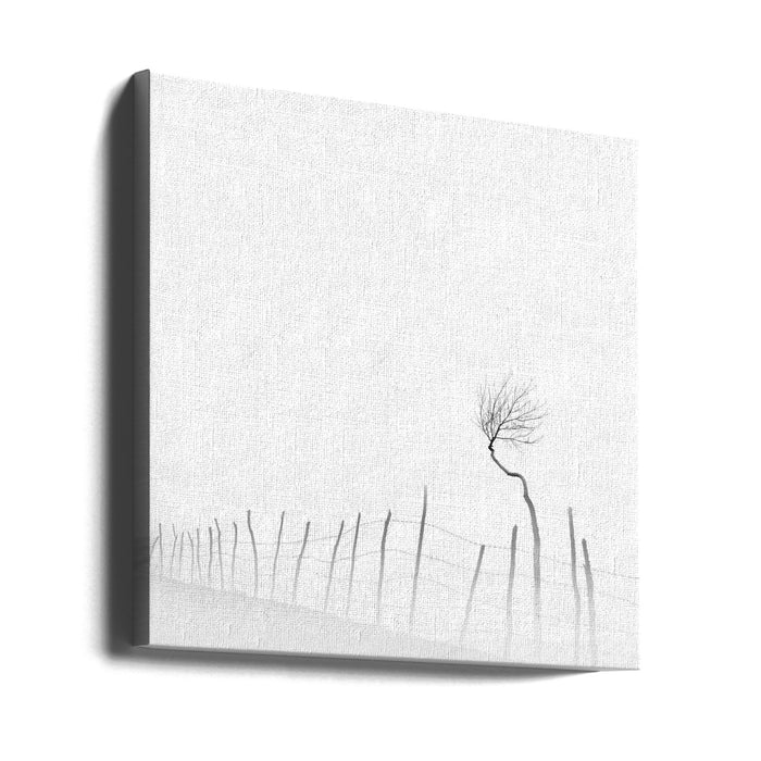 Silence by MOSTAFA NODEH Square Canvas Print Art for Modern Home Decor. Decorate your office or living room with canvas artwork