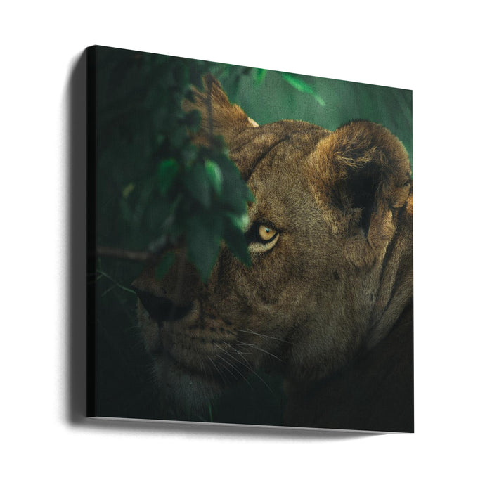 Eye Contact Square Canvas Art  Ahmed Sobhi 