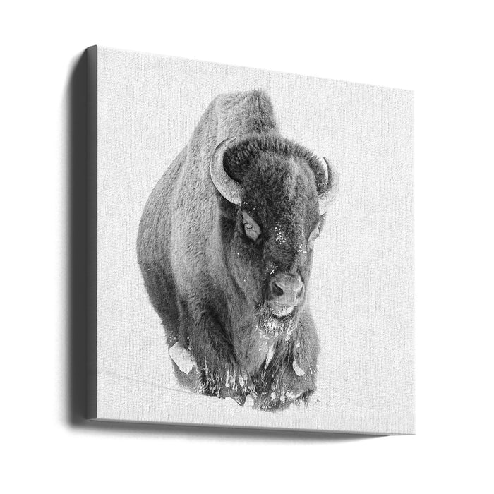 Determined by Bill Mugg Square Canvas Print Art for Modern Home Decor. Decorate your office or living room with canvas artwork