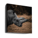Rhinoceros by Georgios Tsikiridis Square Canvas Print Art for Modern Home Decor. Decorate your office or living room with canvas artwork