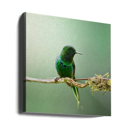 Discosura conversii by Lisandro PEREZ Square Canvas Print Art for Modern Home Decor. Decorate your office or living room with canvas artwork