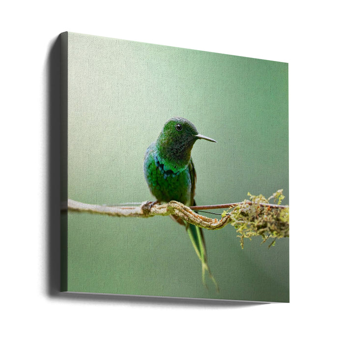 Discosura conversii by Lisandro PEREZ Square Canvas Print Art for Modern Home Decor. Decorate your office or living room with canvas artwork