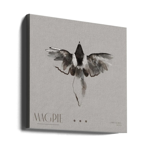 Magpie II Square Canvas Art  Gabriella Roberg 