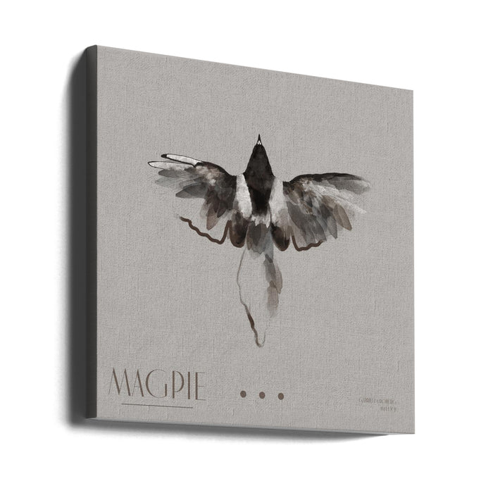 Magpie II Square Canvas Art  Gabriella Roberg 