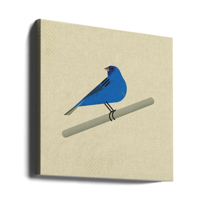 Indigo Bunting by Vision Grasp Art Square Canvas Print Art for Modern Home Decor. Decorate your office or living room with canvas artwork