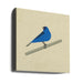 Indigo Bunting by Vision Grasp Art Square Canvas Print Art for Modern Home Decor. Decorate your office or living room with canvas artwork