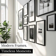 a white wall with black frames and a potted plant