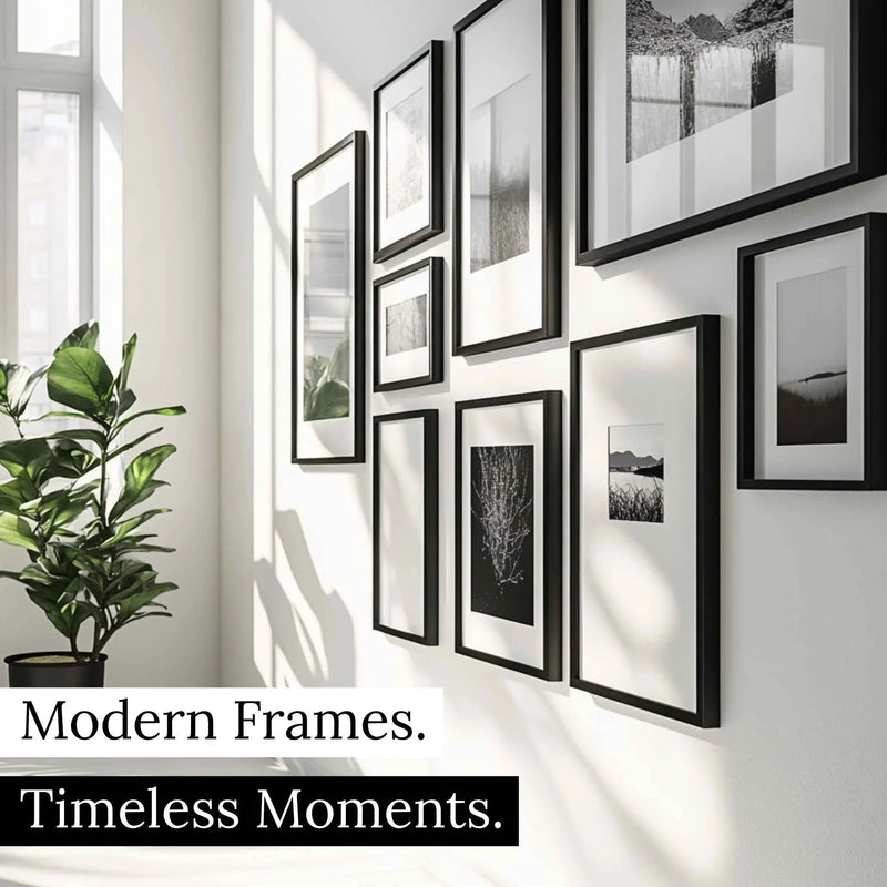 a white wall with black frames and a potted plant