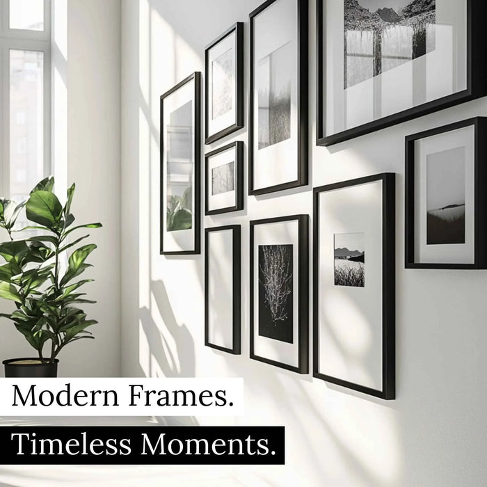 a white wall with black frames and a potted plant