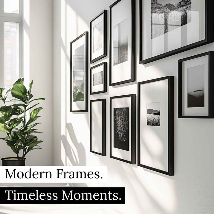 a white wall with black frames and a potted plant