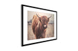 Highlander Cow Wall Art Decor